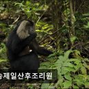 반송제일산후조리원 이미지