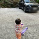 유아 킥보드 : 마이크로 킥보드 미니 LED 퍼플 후기 / 악세사리