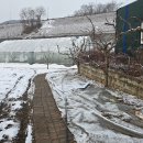 반월농장 이미지