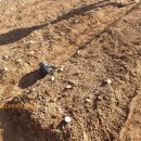 동신농장 이미지