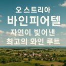 바인루트