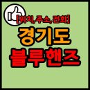 주식회사 블루모터스 이미지