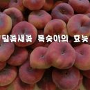 달콤새콤 이미지