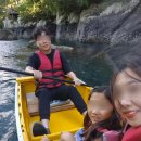 숲에오름협동조합 | 서귀포 쇠소깍 카약 가격 주차장 예약없이 이용한 꿀팁 가볼만한곳