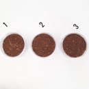 커피플랜트 - 안산시 상록구 성안1길 30 | 커피플랜트