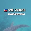 (주)고래상어