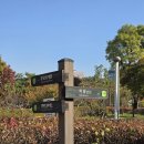 제궁 | 궁궐나들이 - 종묘, 북신문, 창경궁, 창덕궁 낙선재 그랜드페스티벌