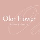 올로르플라워OlorFlower
