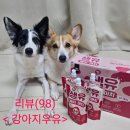 베프랑 | (강아지 우유 추천) 마이베프 생유 베리 마치 급여 후기