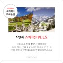 지앤씨디자인