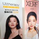 당산초교 | 당산역피부과에서 세르프300샷, 슈링크300샷 받은 솔직 후기