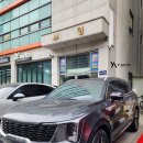 세계오토 | 쏘렌토 퀀텀 썬팅 인천송도 와이오토 시공후기
