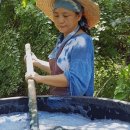 청대농장 이미지