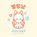 멜팅냥 이미지