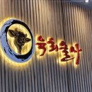 육회술사