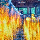 함안 낙화놀이 이미지