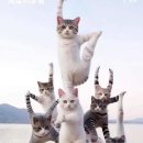 타임스톤