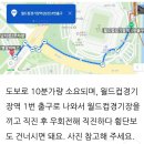 서울 상암동(난지도)하늘공원 억새축제. 2023년10월 16일. 부부산행. 3,896회 산행.. 이미지