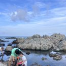 하리2리 어린이공원 | 울산 대왕암공원오토캠핑장 1박2일 카라반, 캠핑카 캠핑요리, 해루질 후기