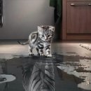 정무수련관 태권도줄넘기 이미지