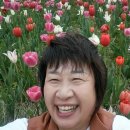 킹콩이농장 이미지