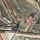 로타리PC방 | [국내여행]진해 군항제에 다녀온 후기