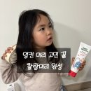 키즈브러시 | 키즈트리트먼트 어린이린스 추천 머리 엉킴 해결 멀티브러쉬 후기
