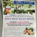 일송농장 이미지