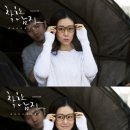 도도안경 bnt뉴스