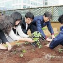시의회청사 이미지