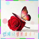 센스와 재치의 유머 이미지