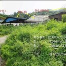 솔로몬목장 이미지