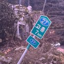 고흥 계절 맛집 | 2025 고흥유자축제 방문후기, 유자굿즈 잔뜩 사고 거금특산품 호떡까지 먹고 옴