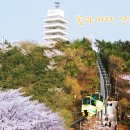 제황산모노레일 이미지