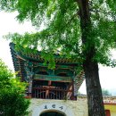 우암산등산로2 이미지