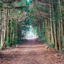 청초농장 이미지