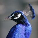 명진동물병원 이미지