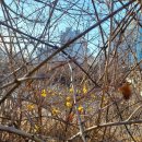 개나리아파트 놀이터 이미지