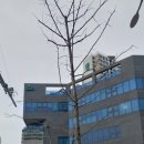 서초동 1331-2  릿타워 이미지