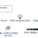 티앤티게라지 이미지