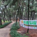 송도 솔밭 유아숲 체험원 맨발걷기 황토길 건강을 위한 걷기는 꼭 필요[포항 pohang]