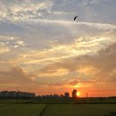 곡교천로 이미지