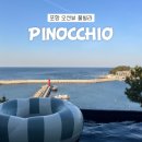 포항 포인트 오션 풀빌라 펜션 | 포항 오션뷰 &#39;피노키오 풀빌라&#39; 추천 내돈내산 개인 펜션 후기
