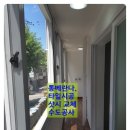 삼미빌라 앞 Daum카페