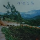 대자연한우 티스토리