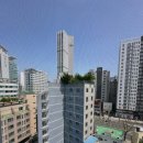 해강전기 이미지