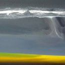 (성인)서양화 유화반 이미지