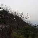 크래모드 이미지