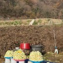 해광농장 이미지