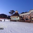 [이미지] 지산리조트 모글대회 코스 조성 전경. 2016년 2월 24일. 이미지